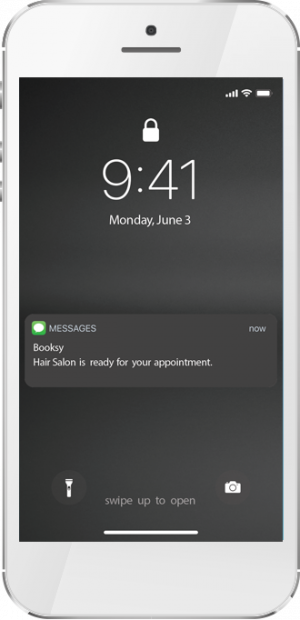screenshot of text message