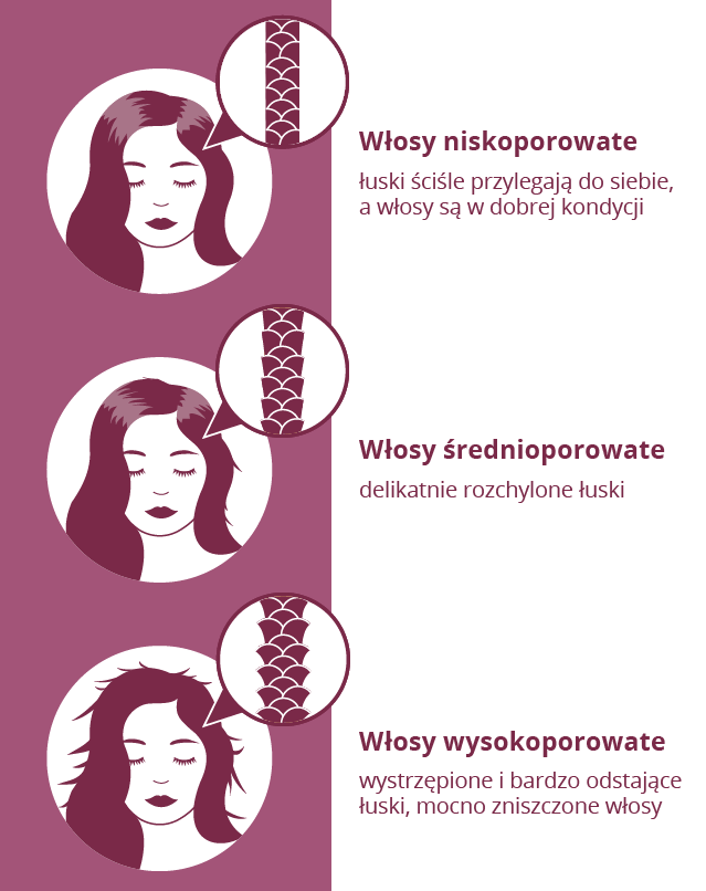 Infografika - sprawdź porowatość włosów